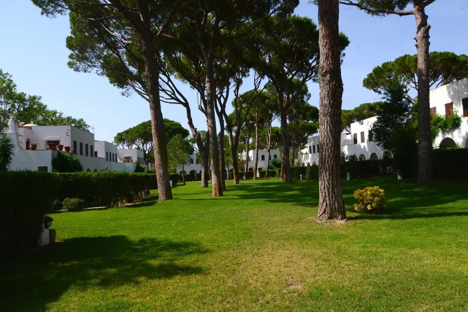 PIVERD DEL GOLF 56-Gebieden zomer 5km