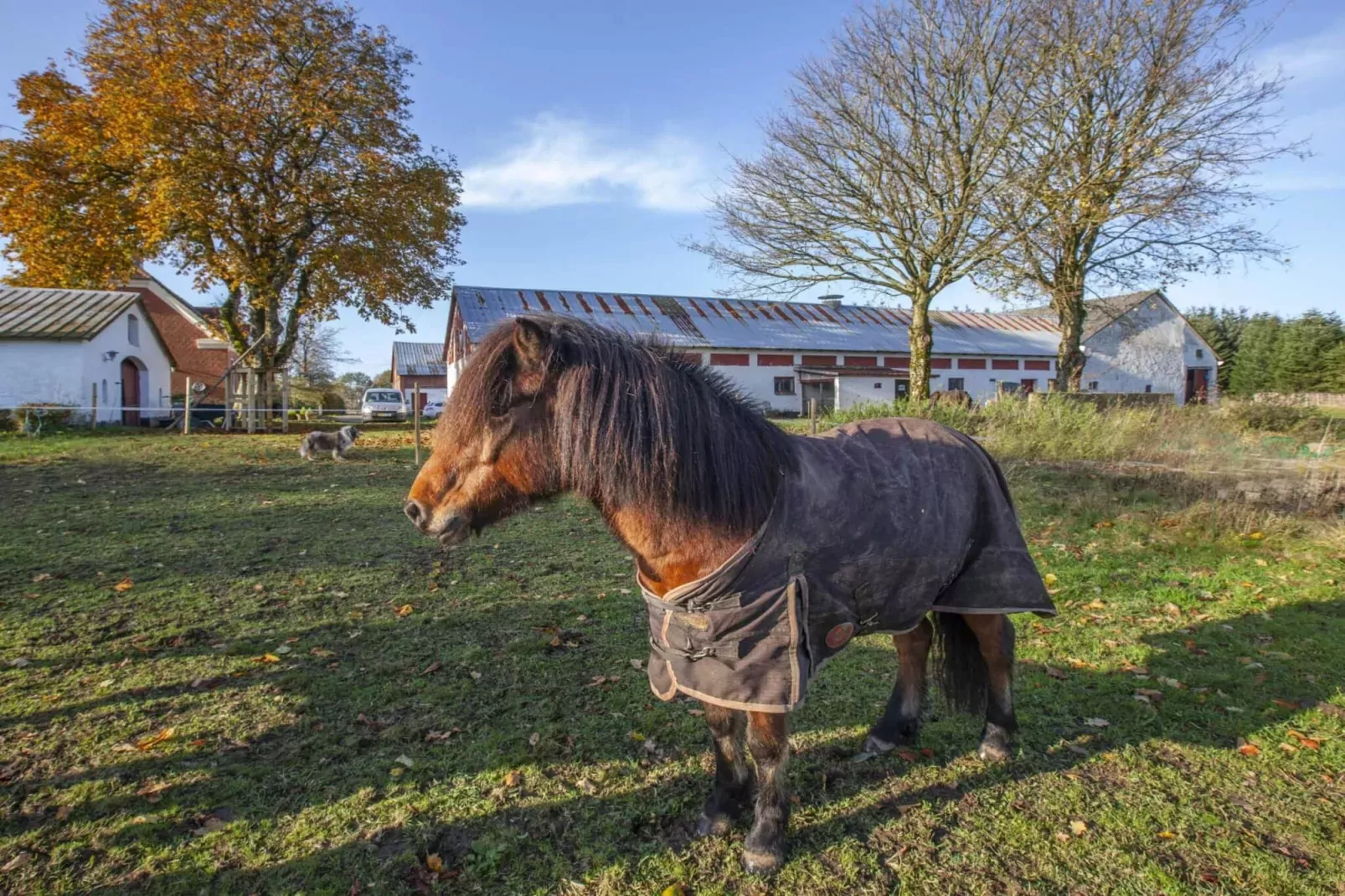 4 sterren vakantie huis in Dybvad-Buitenlucht