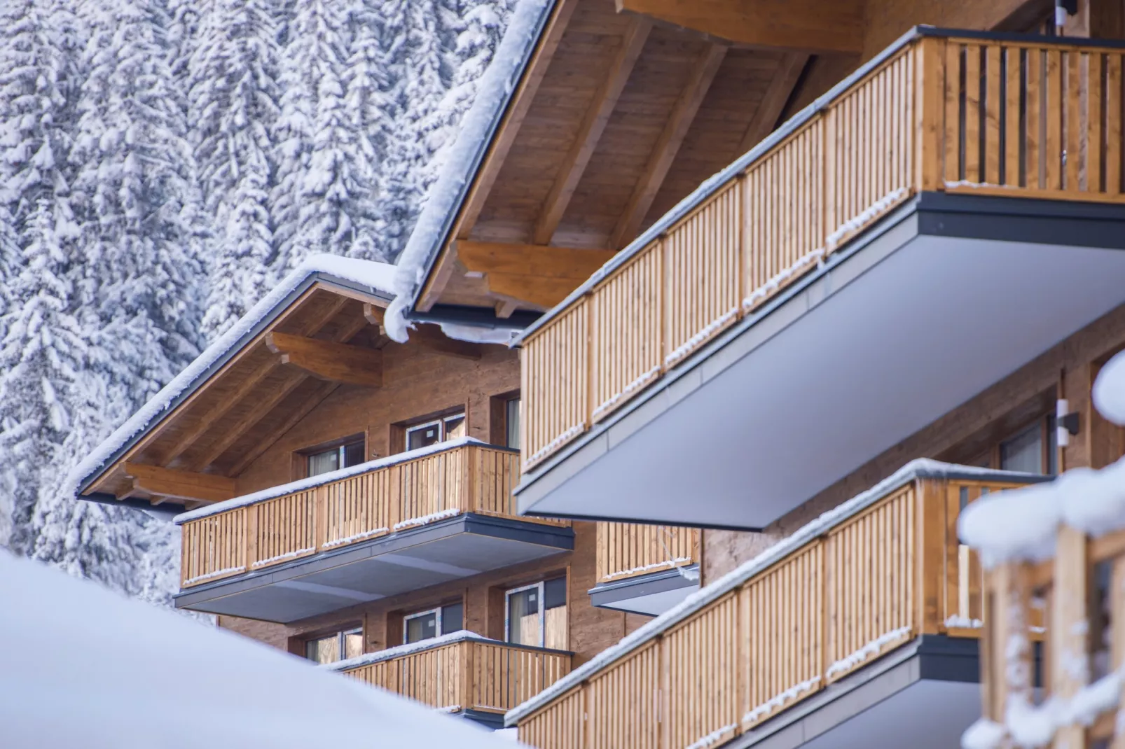 Premium Chalet-Buitenkant zomer