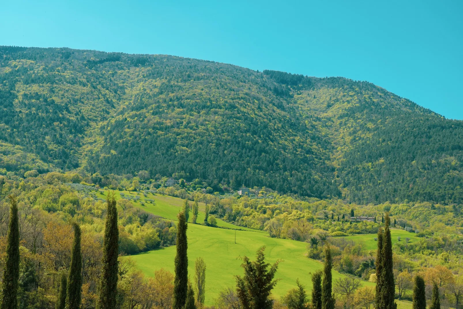 Assisi 4 pax-Uitzicht zomer