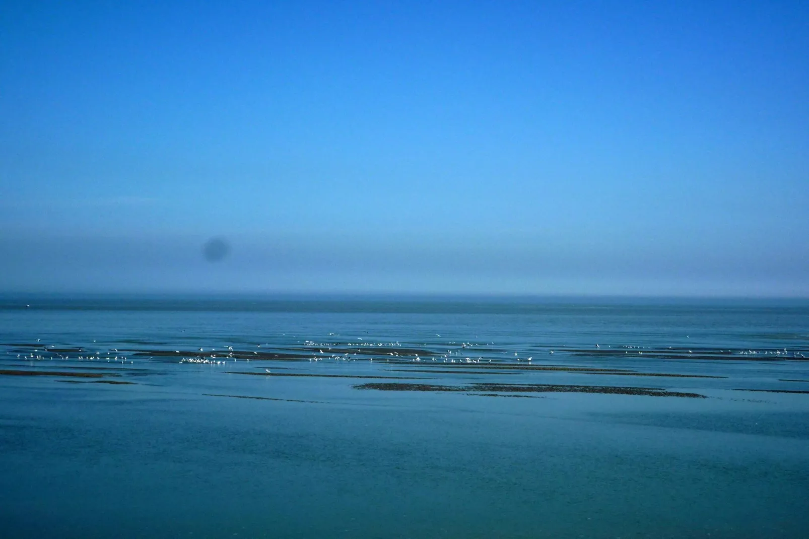 Holiday home Cayeux-sur-Mer-Gebieden zomer 1km