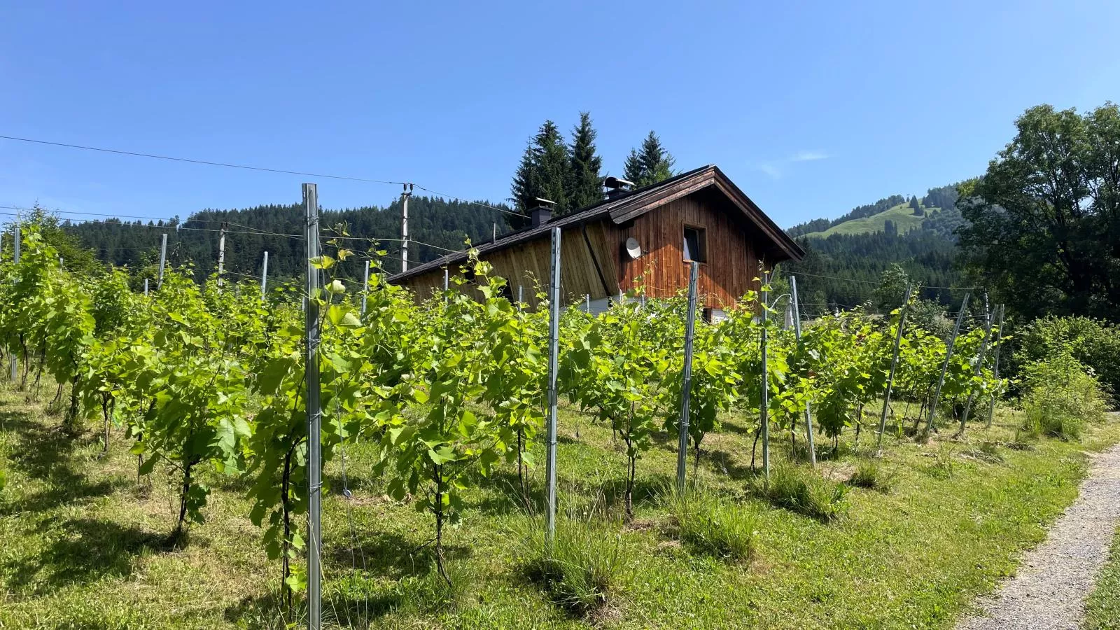 Rebenhaus-Buitenkant zomer