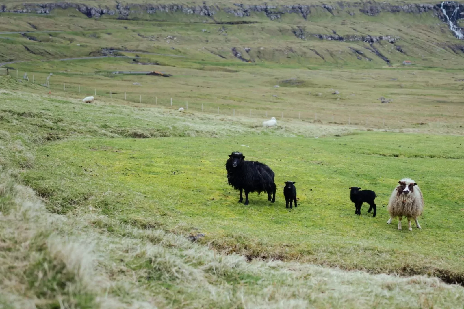 Rustig toevluchtsoord in Hellurnar -- By Traum Ferienwohnungen-Niet-getagd