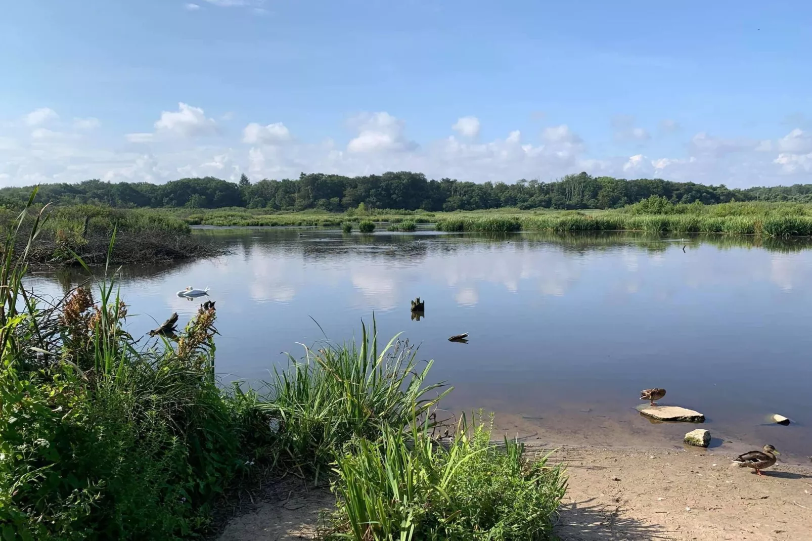 Domek piętrowy TYP C Ustronie Morskie-Uitzicht zomer