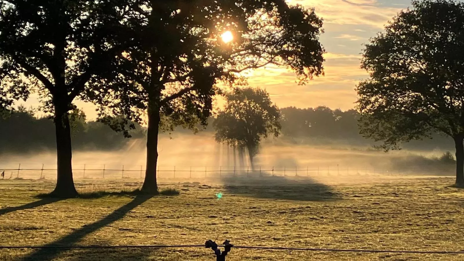 De Rouwenbogt-Uitzicht zomer