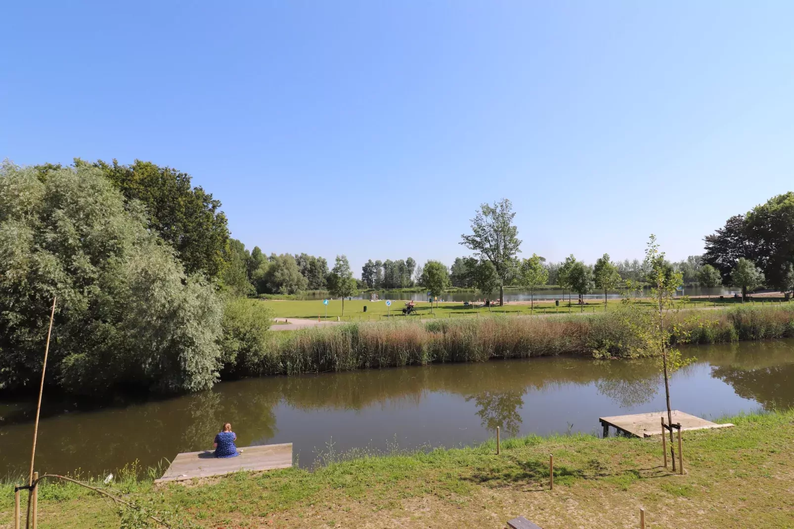 Kuifduiker 122-Gebieden zomer 5km