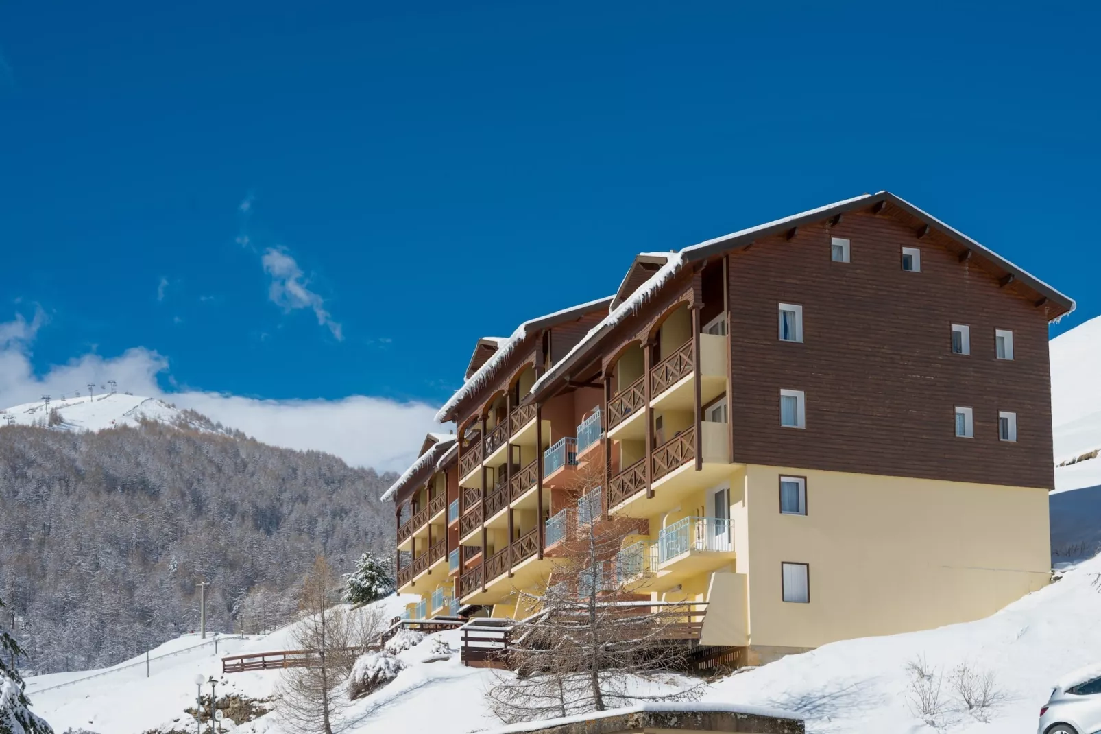 PETIT OURS II N°39 - ST4-Exterieur winter