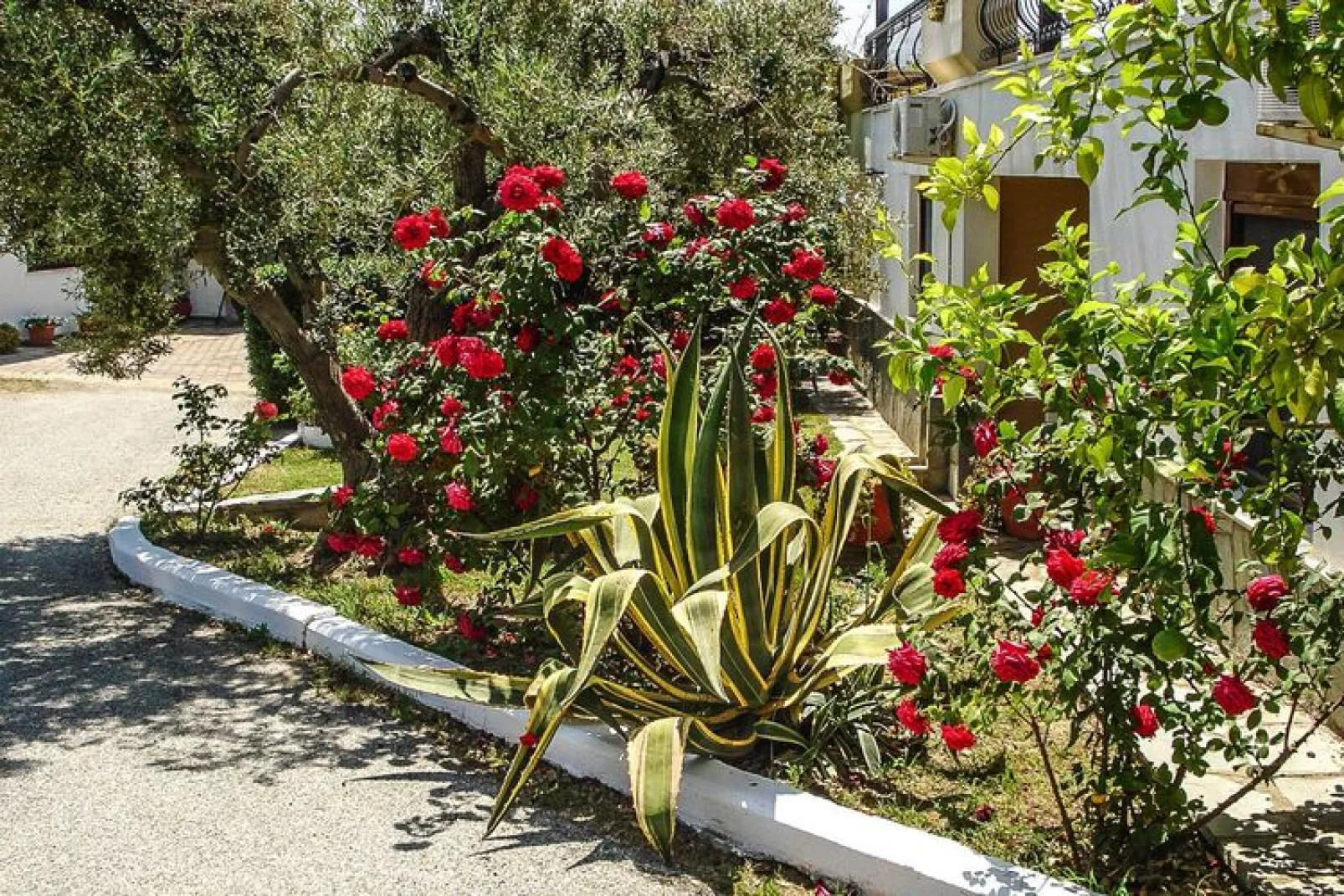 Holiday resort Asteris Village Gerakini-Studio Economy