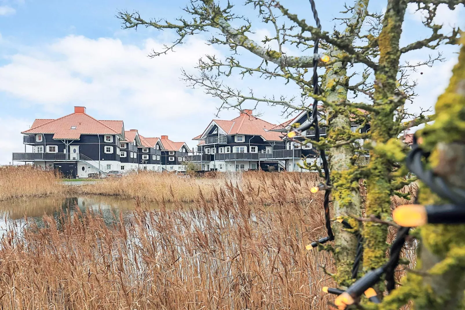 4 sterren vakantie huis in Bogense-By Traum-Uitzicht