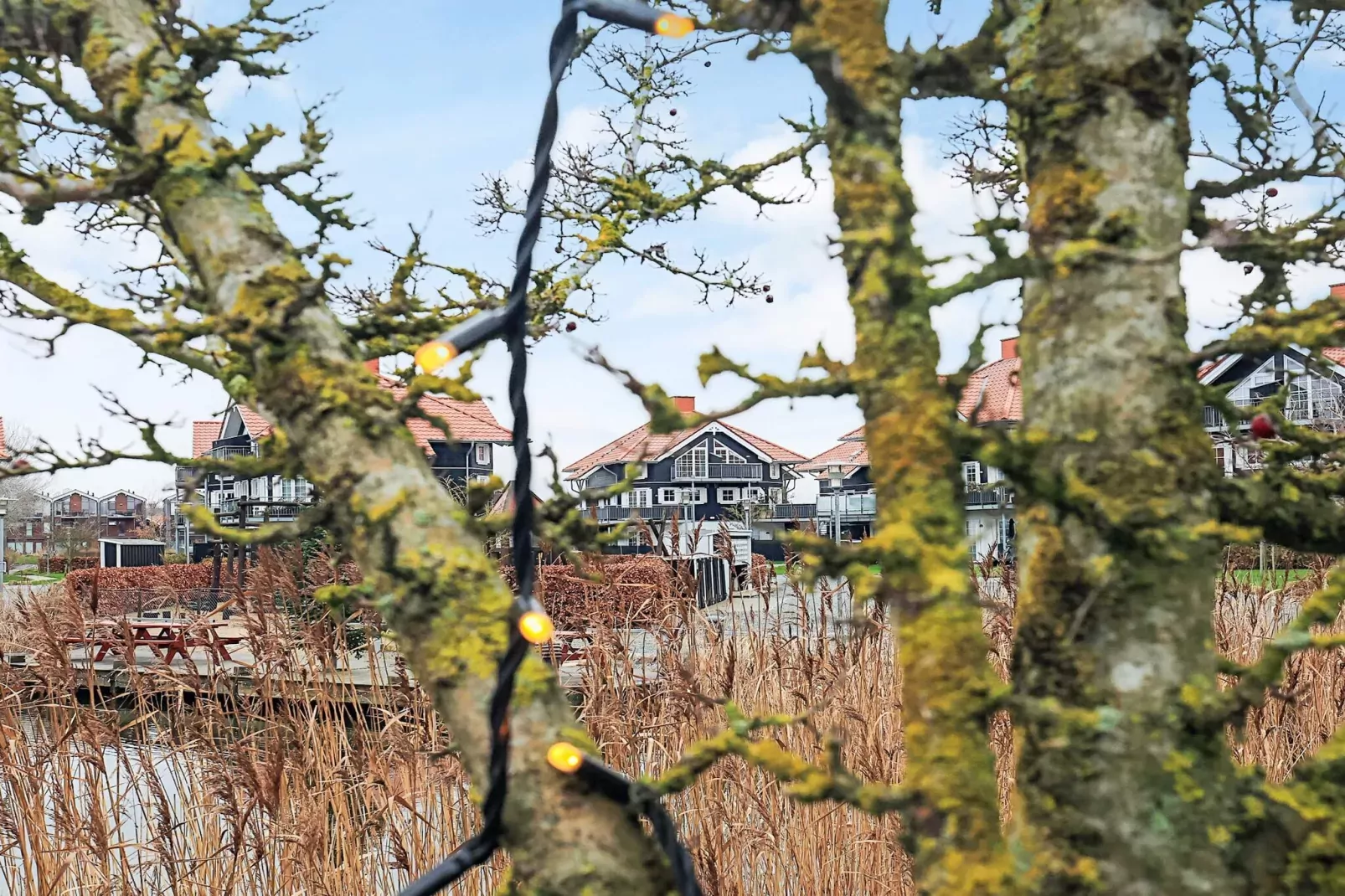 4 sterren vakantie huis in Bogense-By Traum-Uitzicht