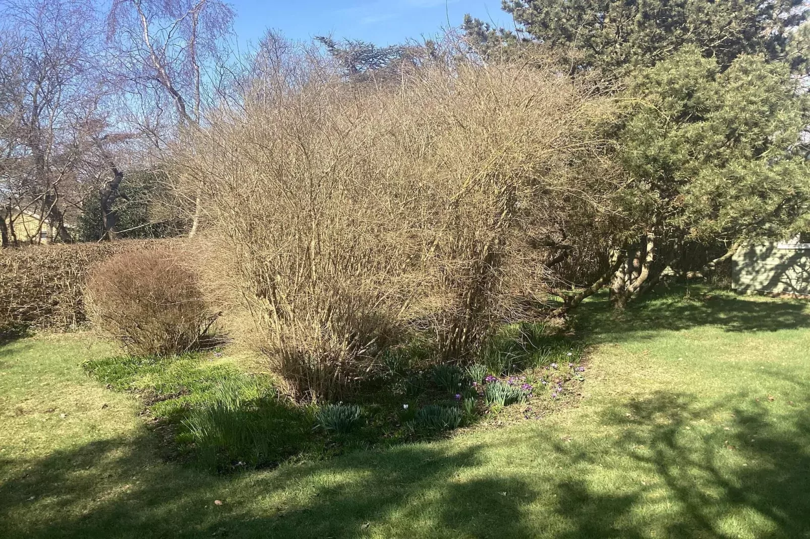 6 Personen vakantie huis in Dannemare-Buitenlucht