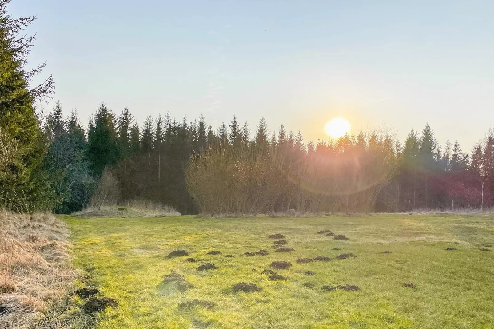 4 sterren vakantie huis in HÖRBY-Buitenlucht