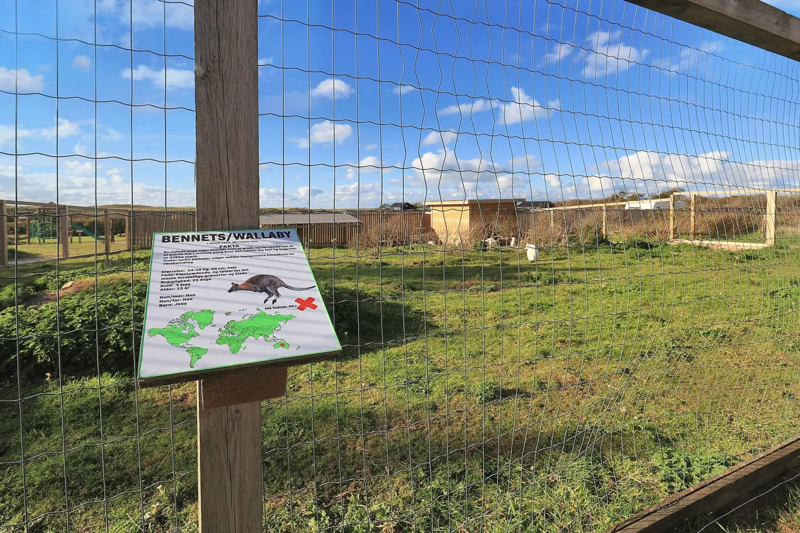 Kahyt uden toilet og brusebad (K5)-Uitzicht