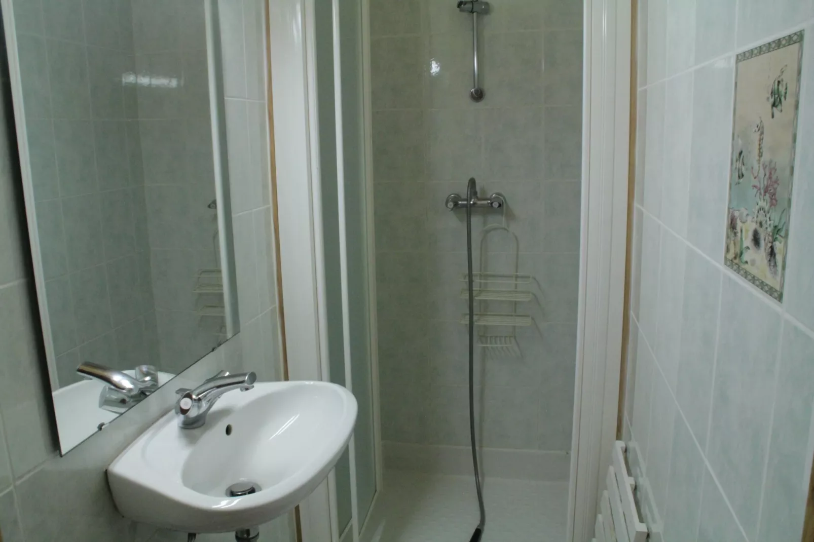 VAL PIERRE VPD2 CENTER & SPACIOUS 8 Pers.-Badkamer