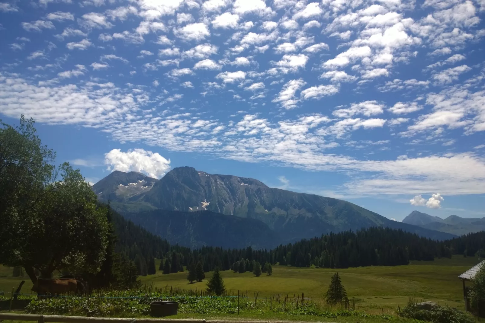 Vercors 1 034-FAMILLE & MONTAGNE studio 4 pers-Niet-getagd