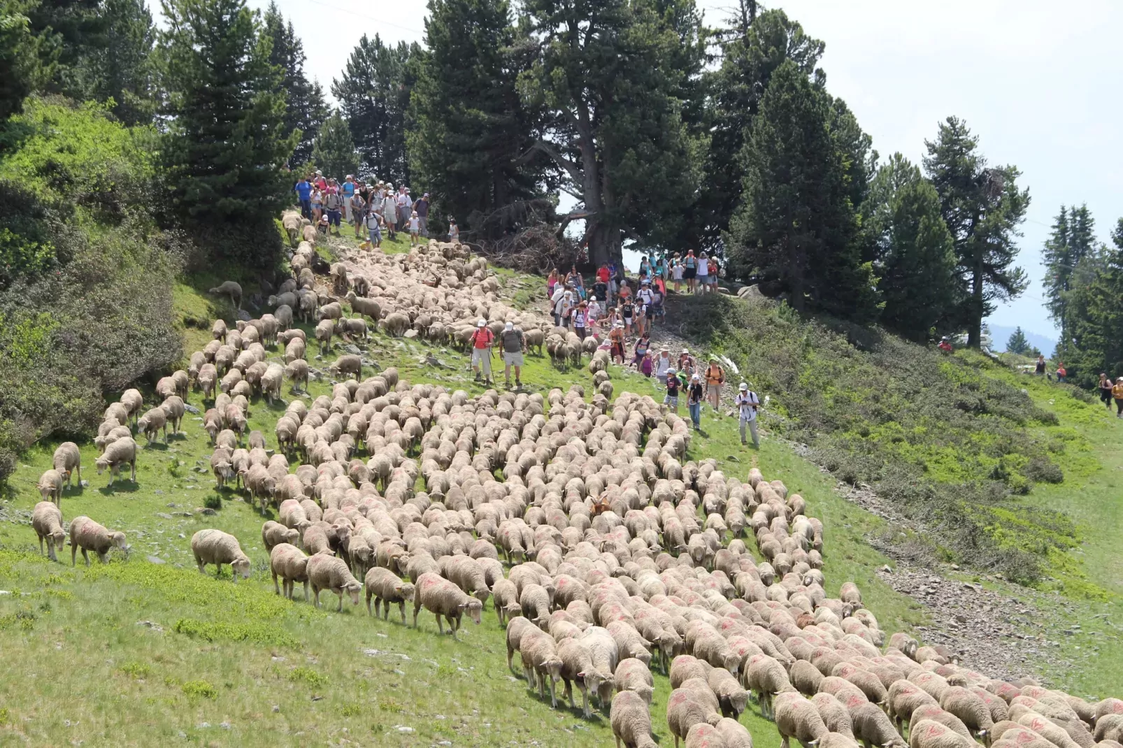Vercors 1 035-FAMILLE & MONTAGNE appart. 6 pers-Niet-getagd