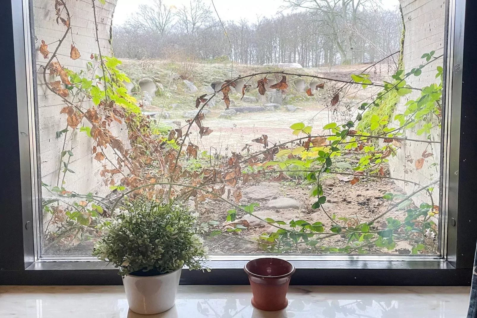 4 persoons vakantiehuis in Hoor-Binnen