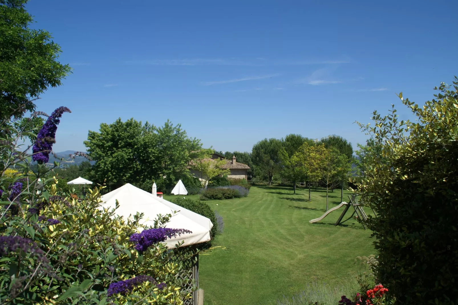 Podere Montone Fienile-Uitzicht zomer