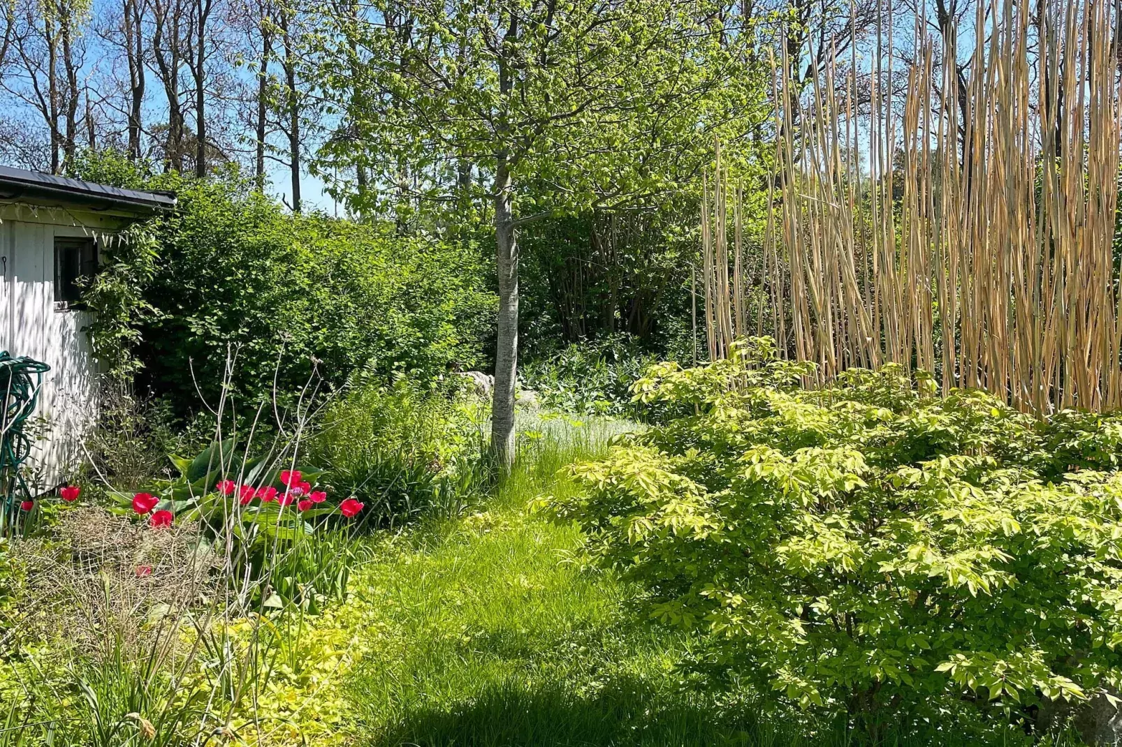 7 persoons vakantie huis in Löderup-Buitenlucht