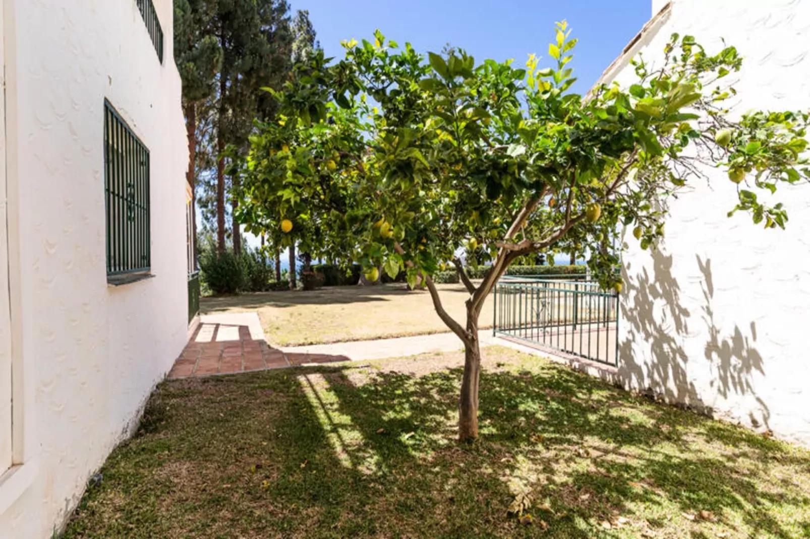 Appartements à Mijas Costa-Image-tags.