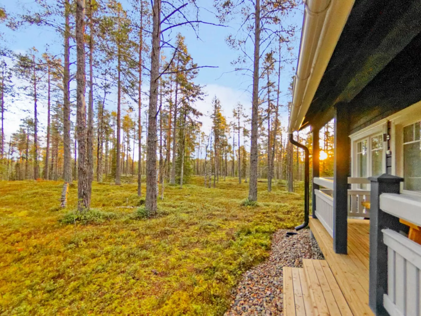 Kevätpiippo b-Buiten