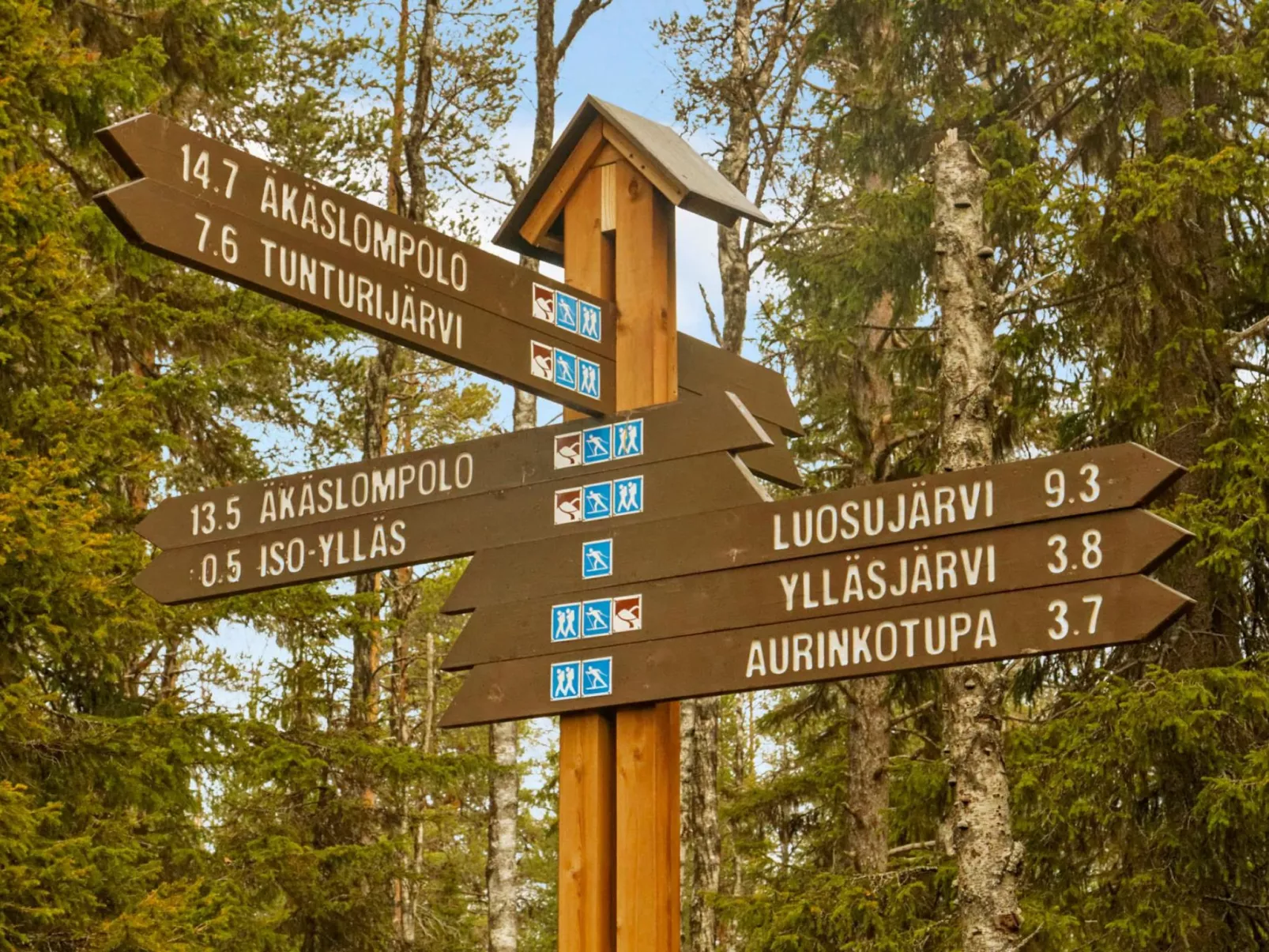 Kevätpiippo b-Buiten