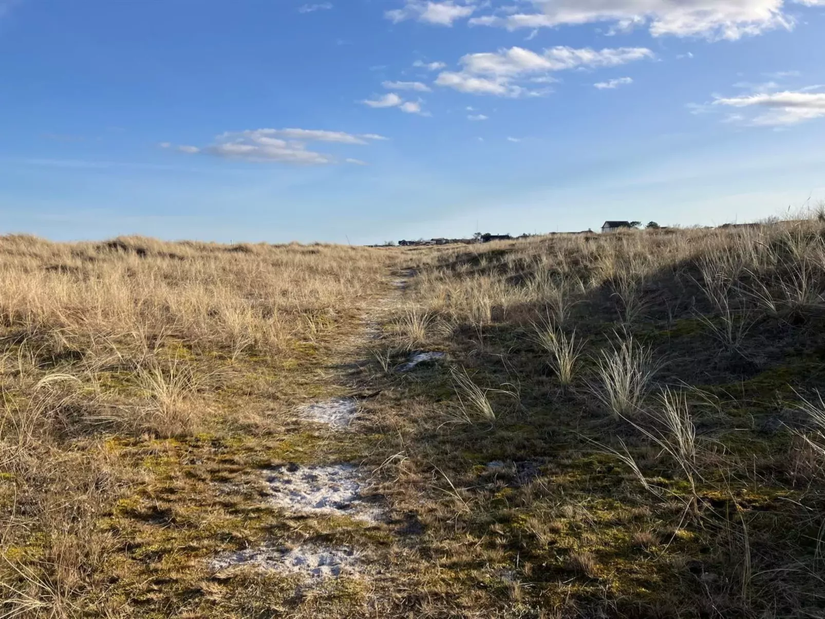 "Skade" - 10m from the sea-Buiten