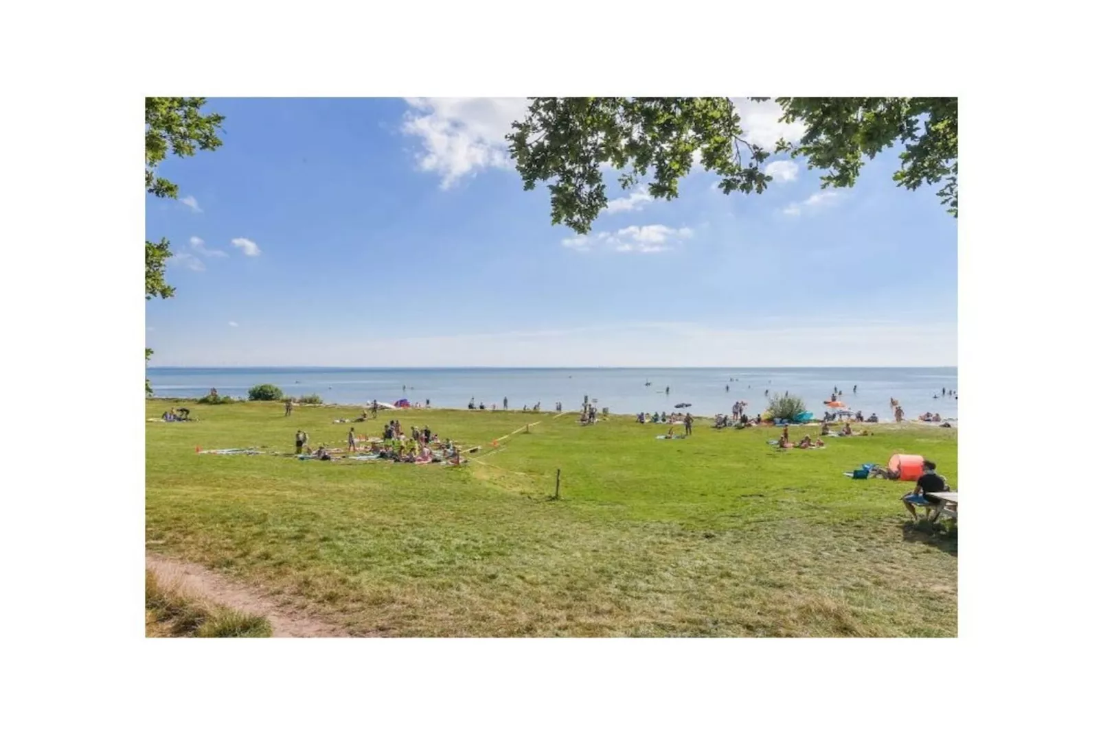 467355-Gebieden zomer 1km