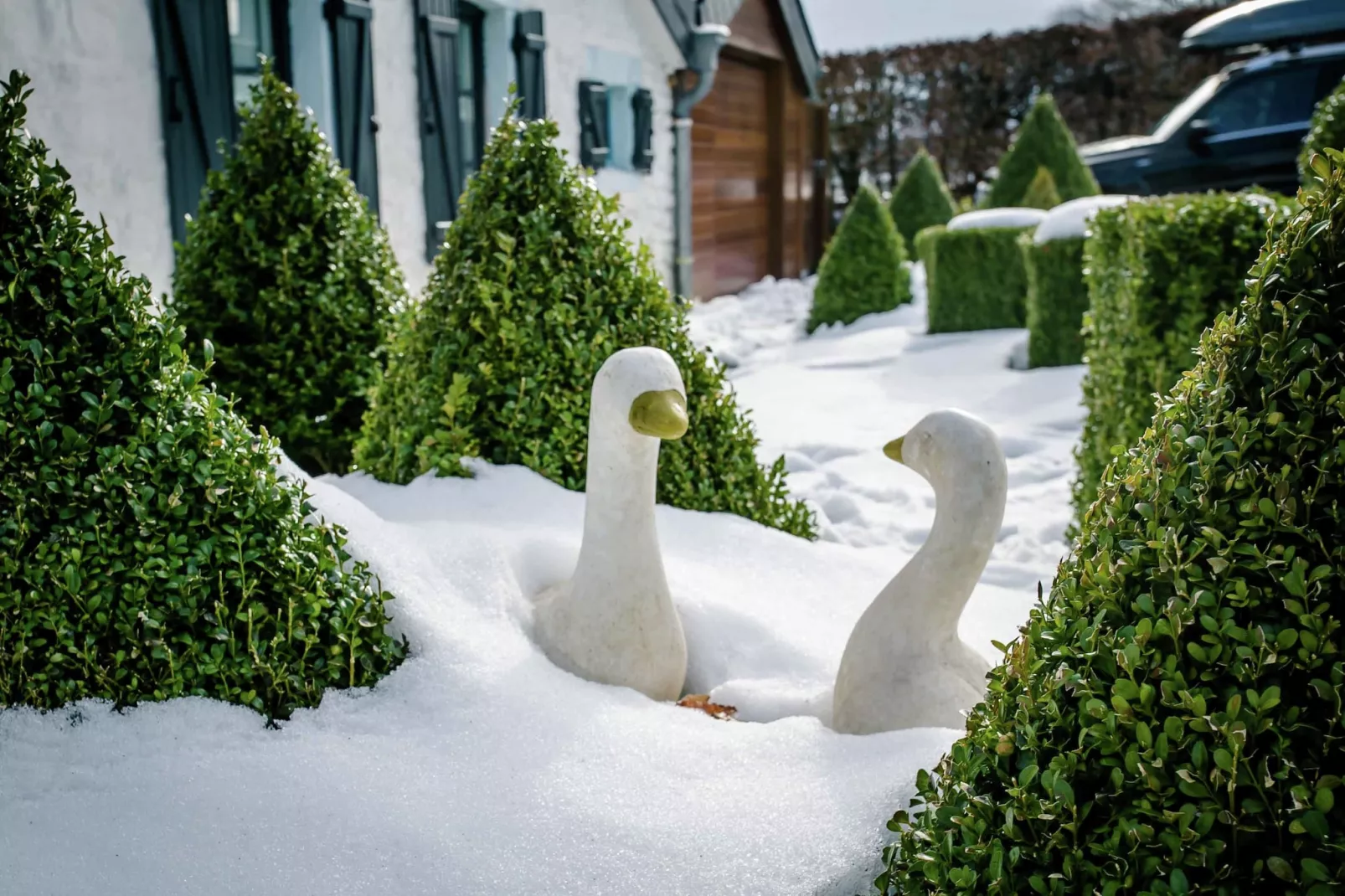 Les Oies-Tuin winter