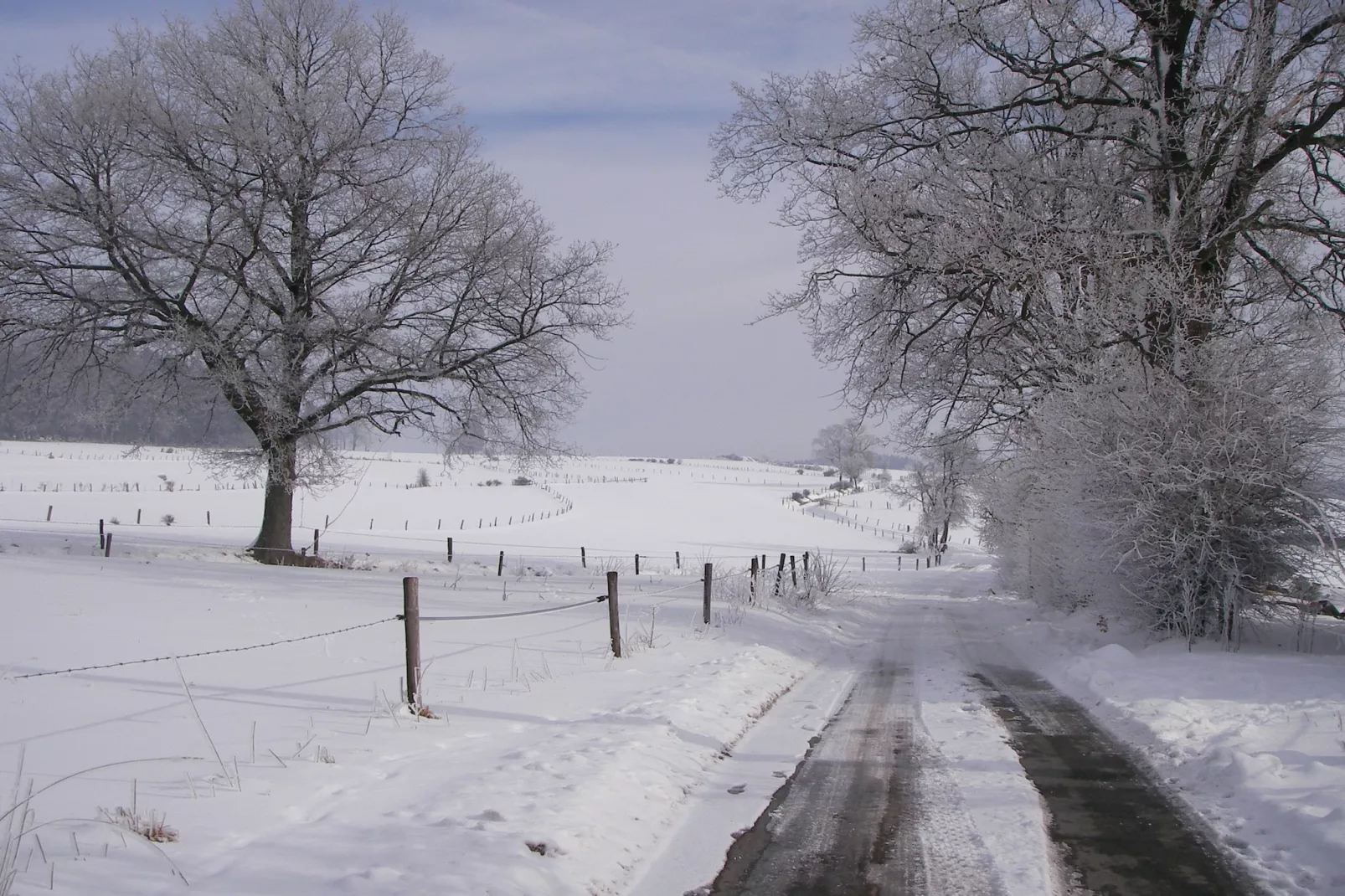 Residenz Zur Buchenallee-Gebied winter 1km