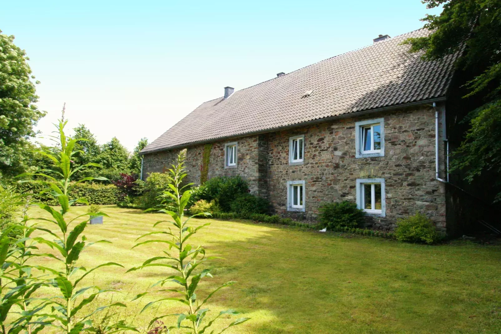 Domaine des Bouts de Fagnes-Buitenkant zomer
