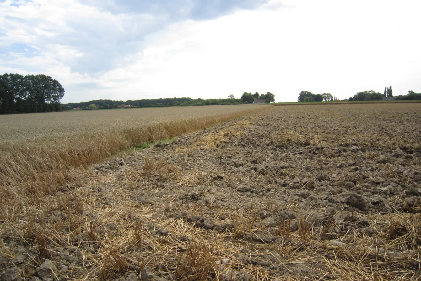 Het Boerderijtje-Tuinen zomer