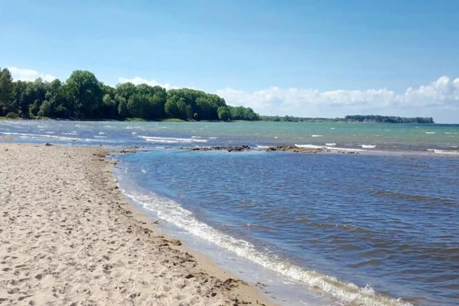Bernsteinring Z1B-Gebieden zomer 1km