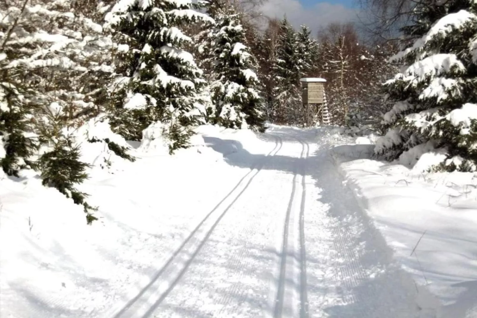 Waldferienhaus-Gebied winter 5km