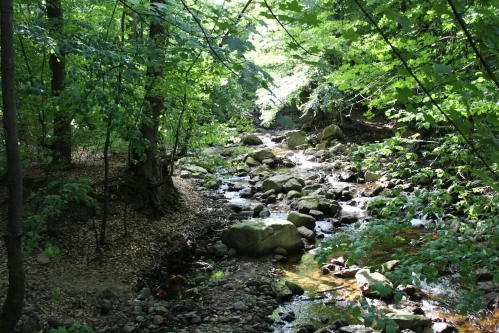 Haus Buchberg-Gebieden zomer 20km