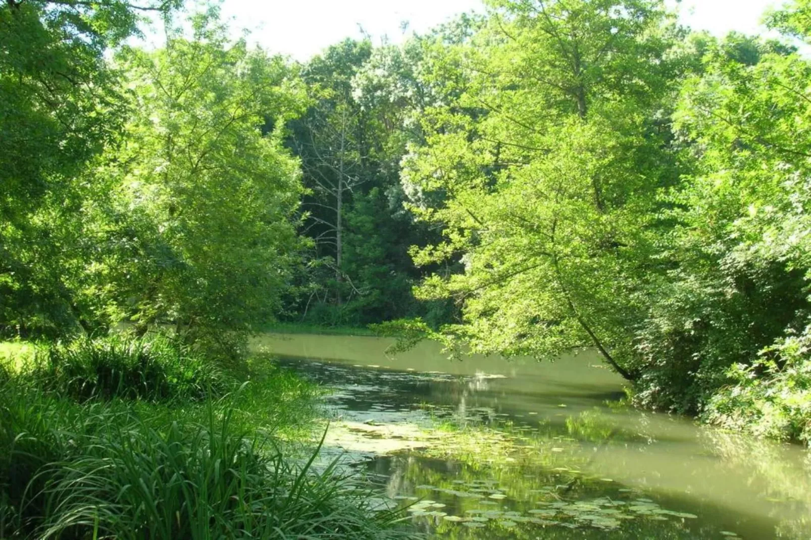 Residence Les Jardins Renaissance 3-Gebieden zomer 5km