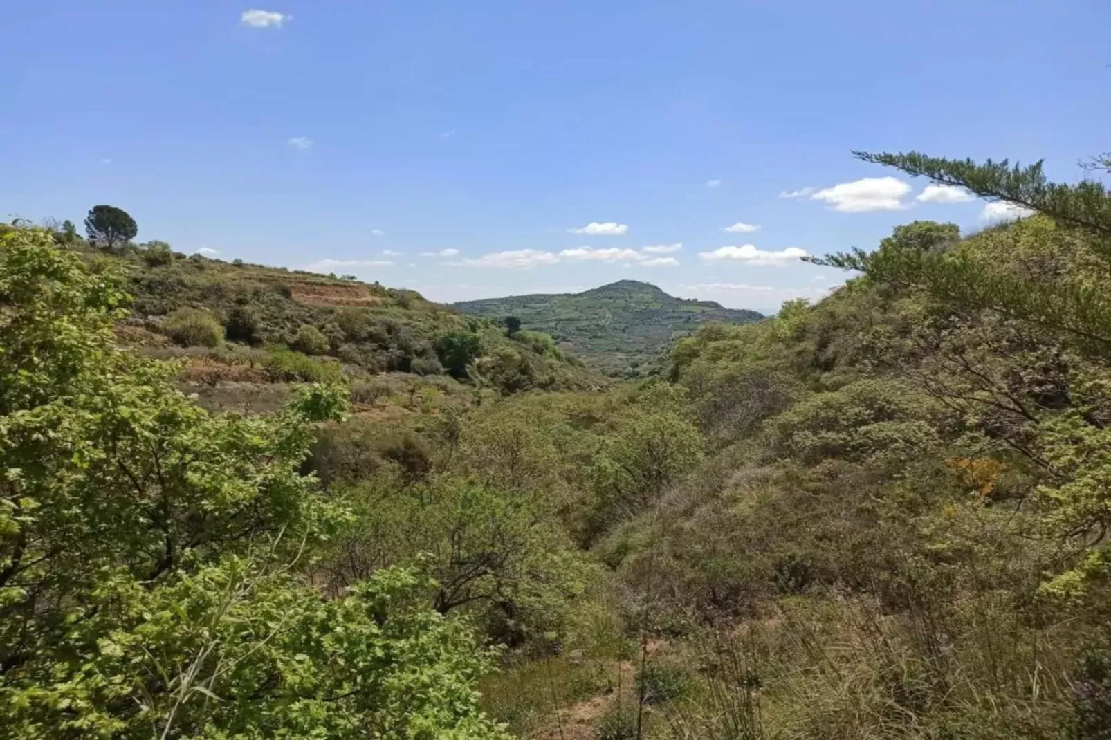 Villa Leonforte-Gebieden zomer 20km
