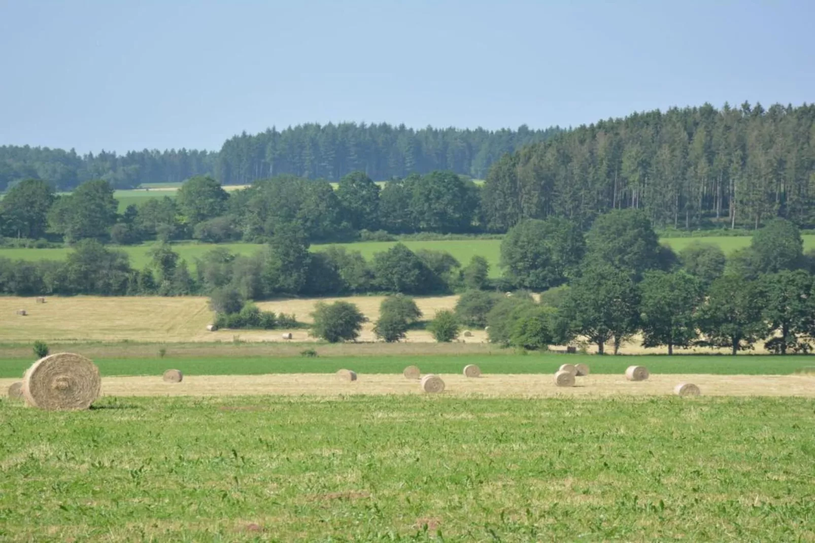 Luxe vakantiehuis Veluwe met Wellness-Gebieden zomer 20km