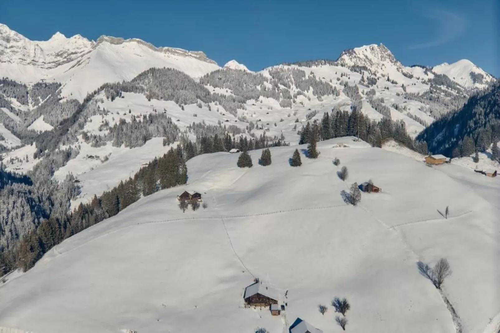 Beautiful Alpine Luxury Flat in Rougemont-Gebieden zomer 20km