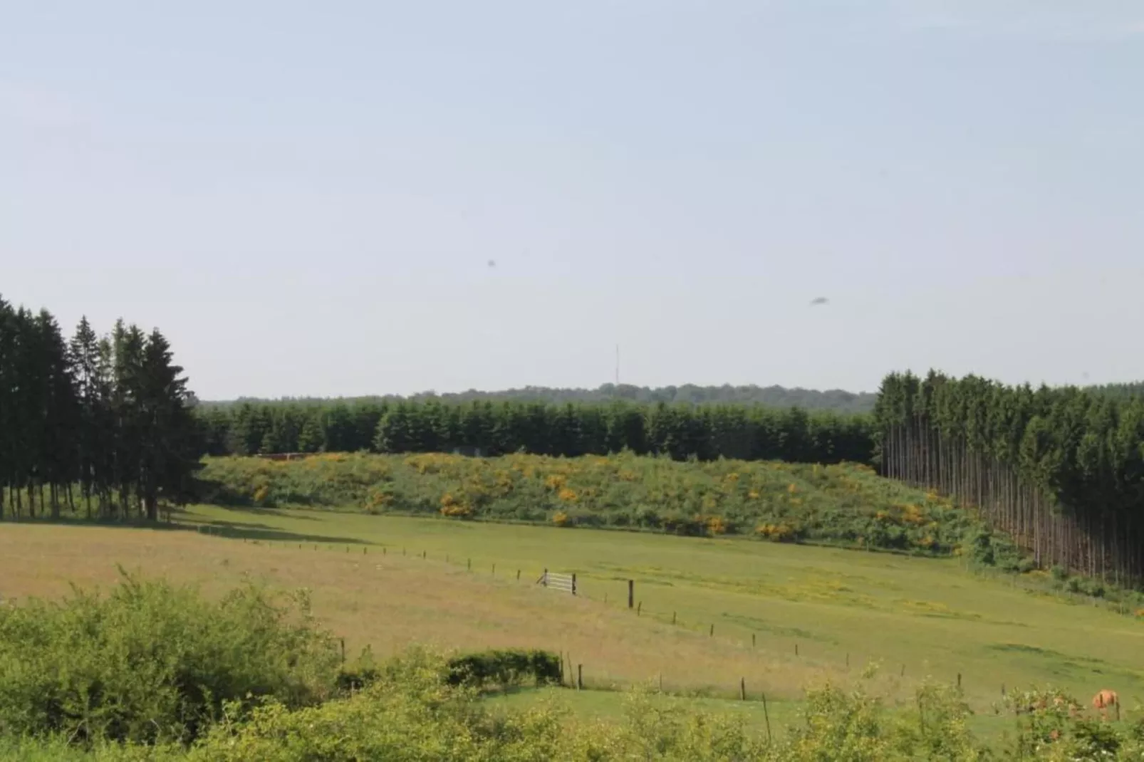 Maison typique vue sur le château d'Hautefort 6 pax-Gebieden zomer 20km