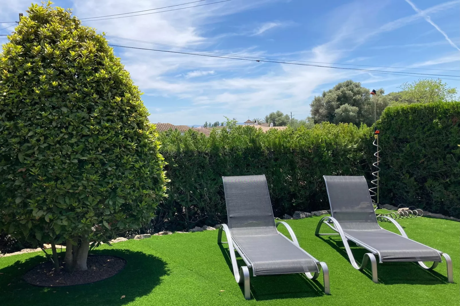 gardensummer