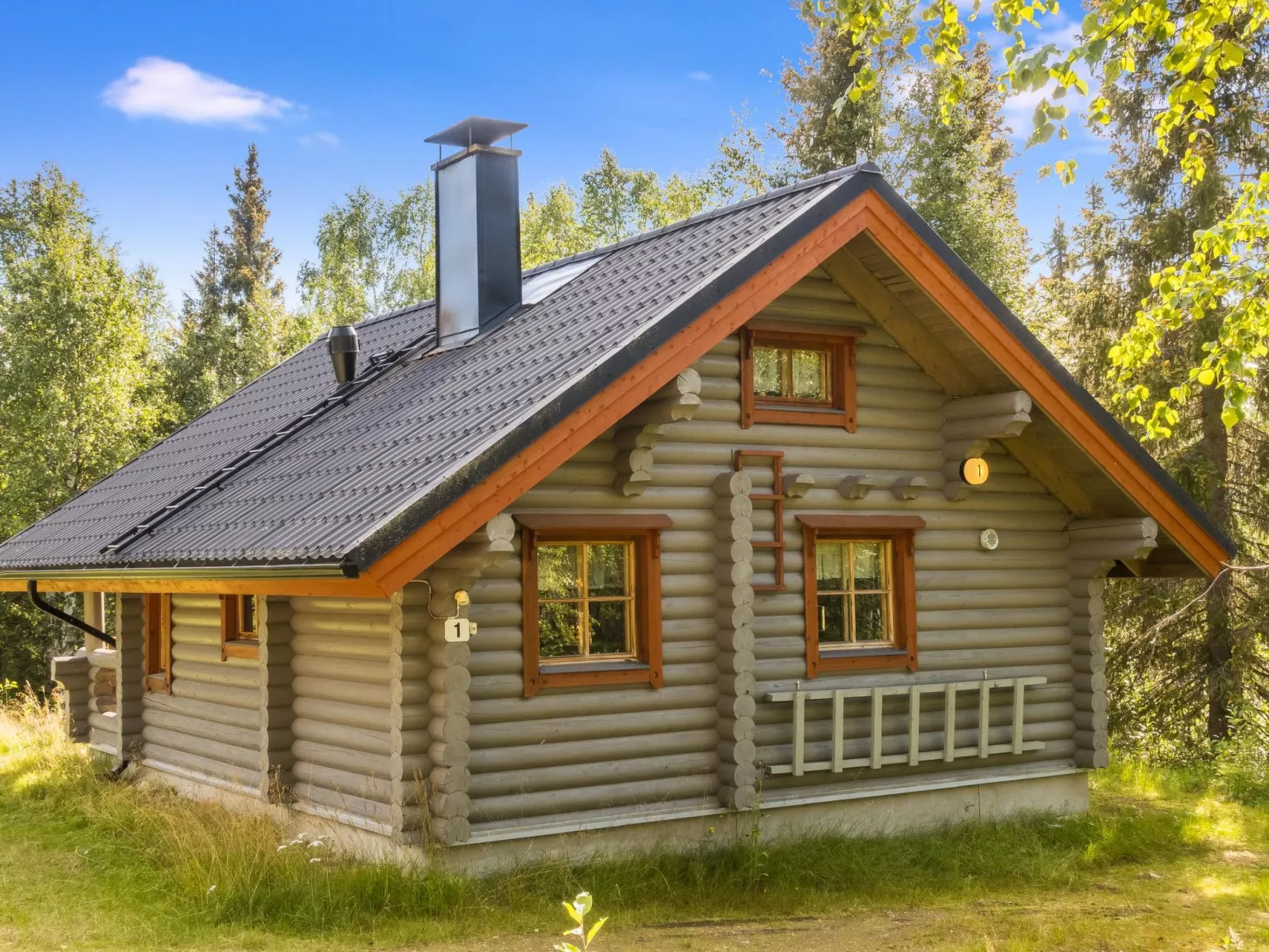 Lomaväinö 1