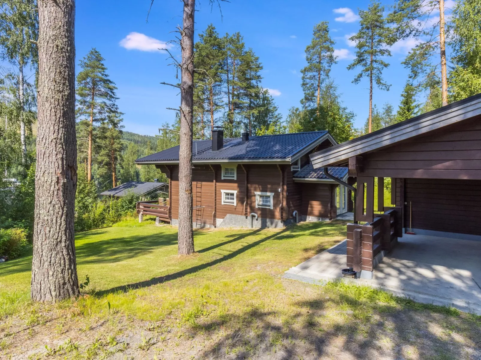 Tahkon käkikello