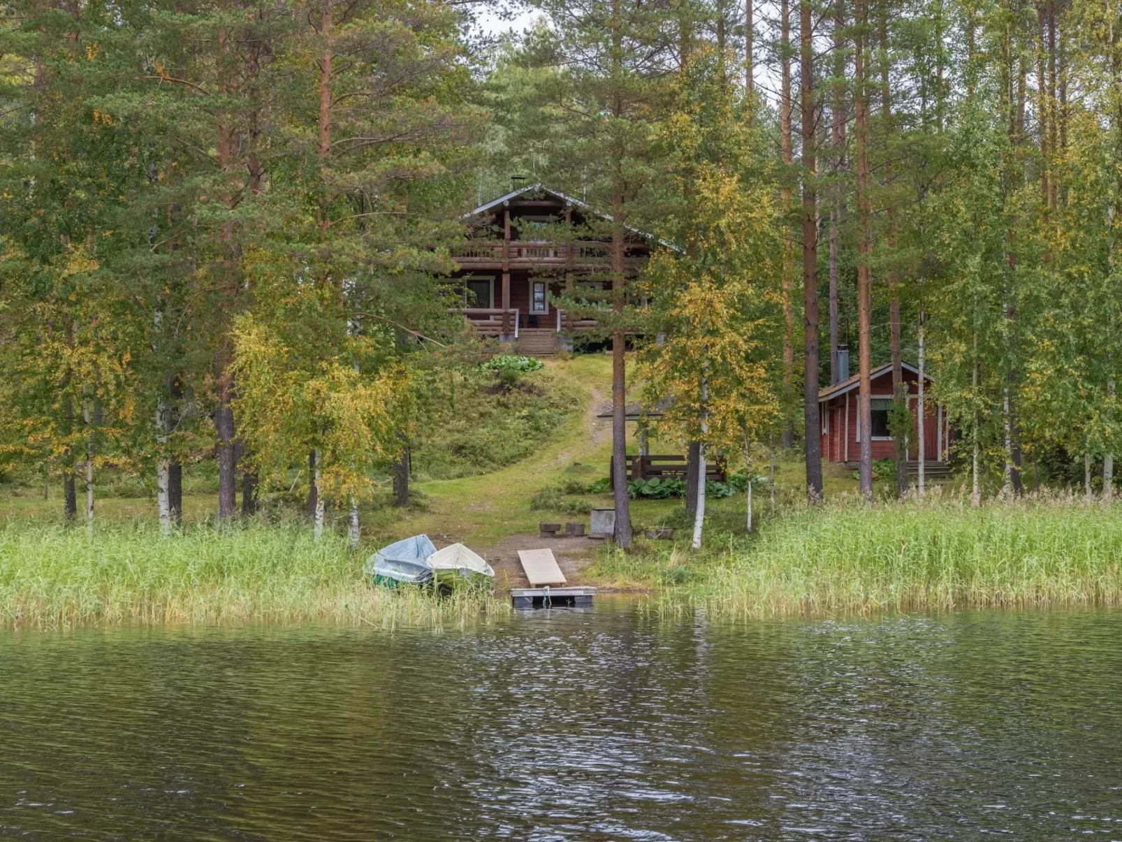 Mäntyrinne