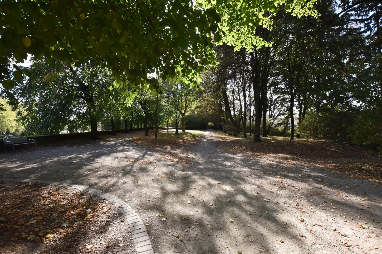 De bonte kat-Gebieden zomer 1km
