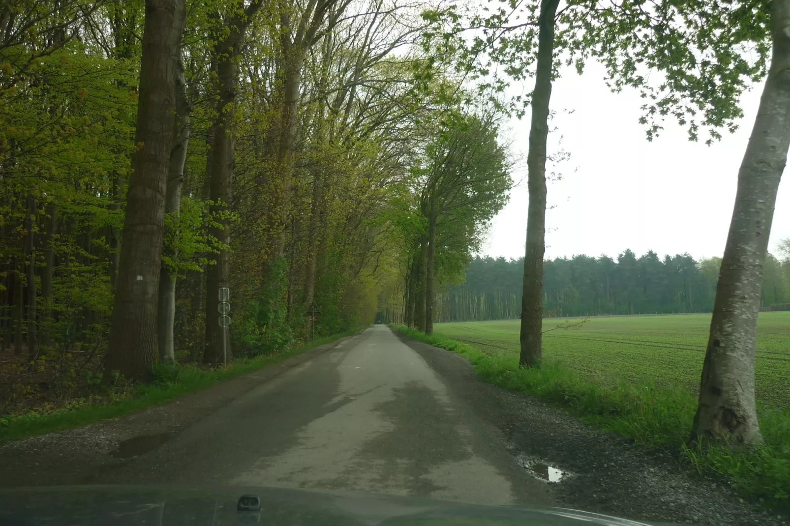 Happy Moments-Gebieden zomer 1km