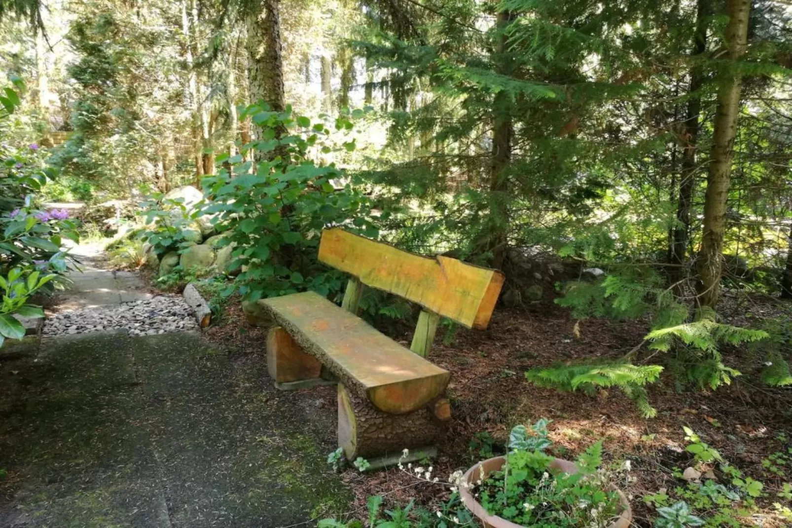 Ferienwohnung auf dem Biobauernhof-Gebieden zomer 5km