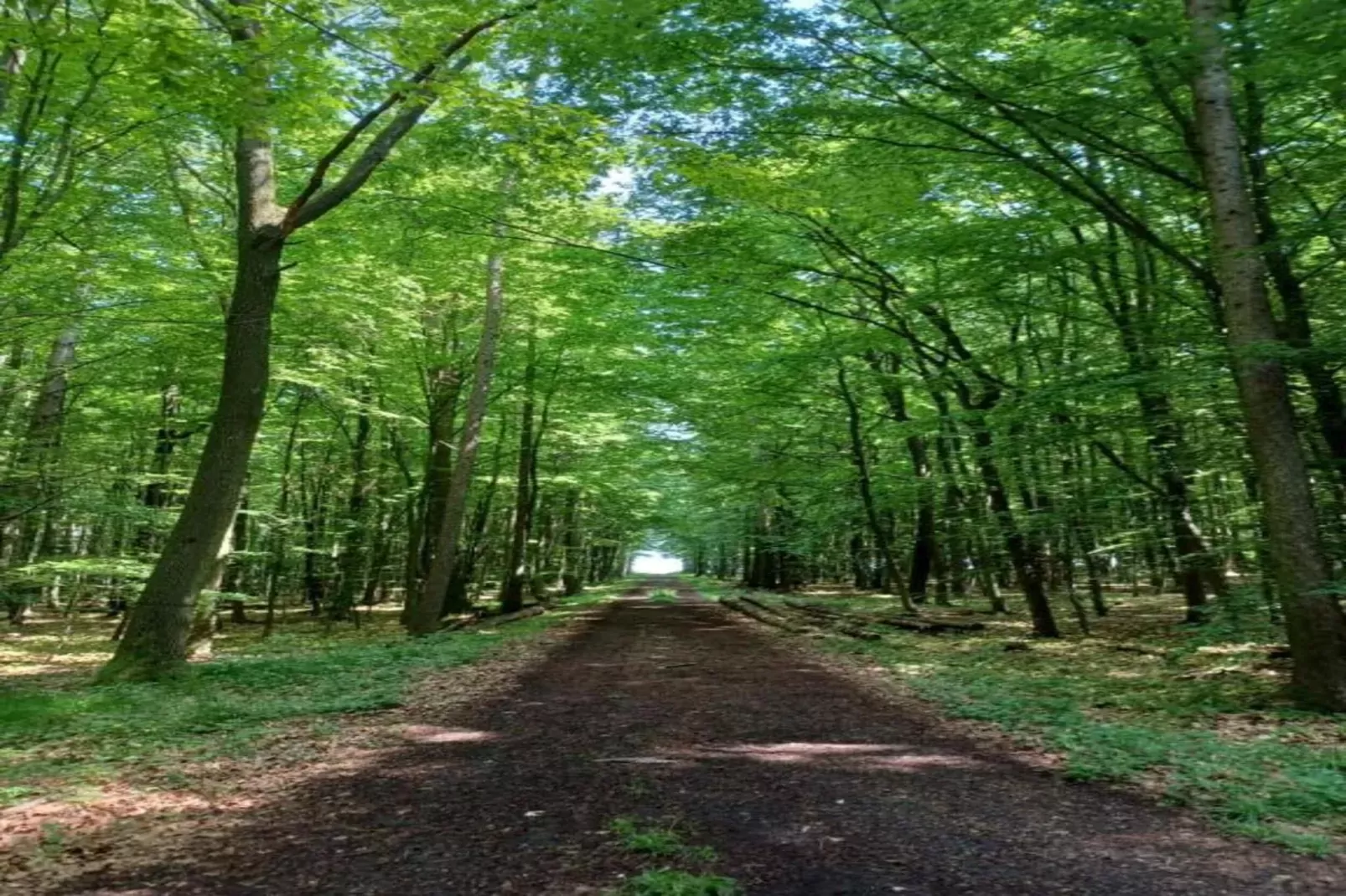 Idylle-Gebieden zomer 20km