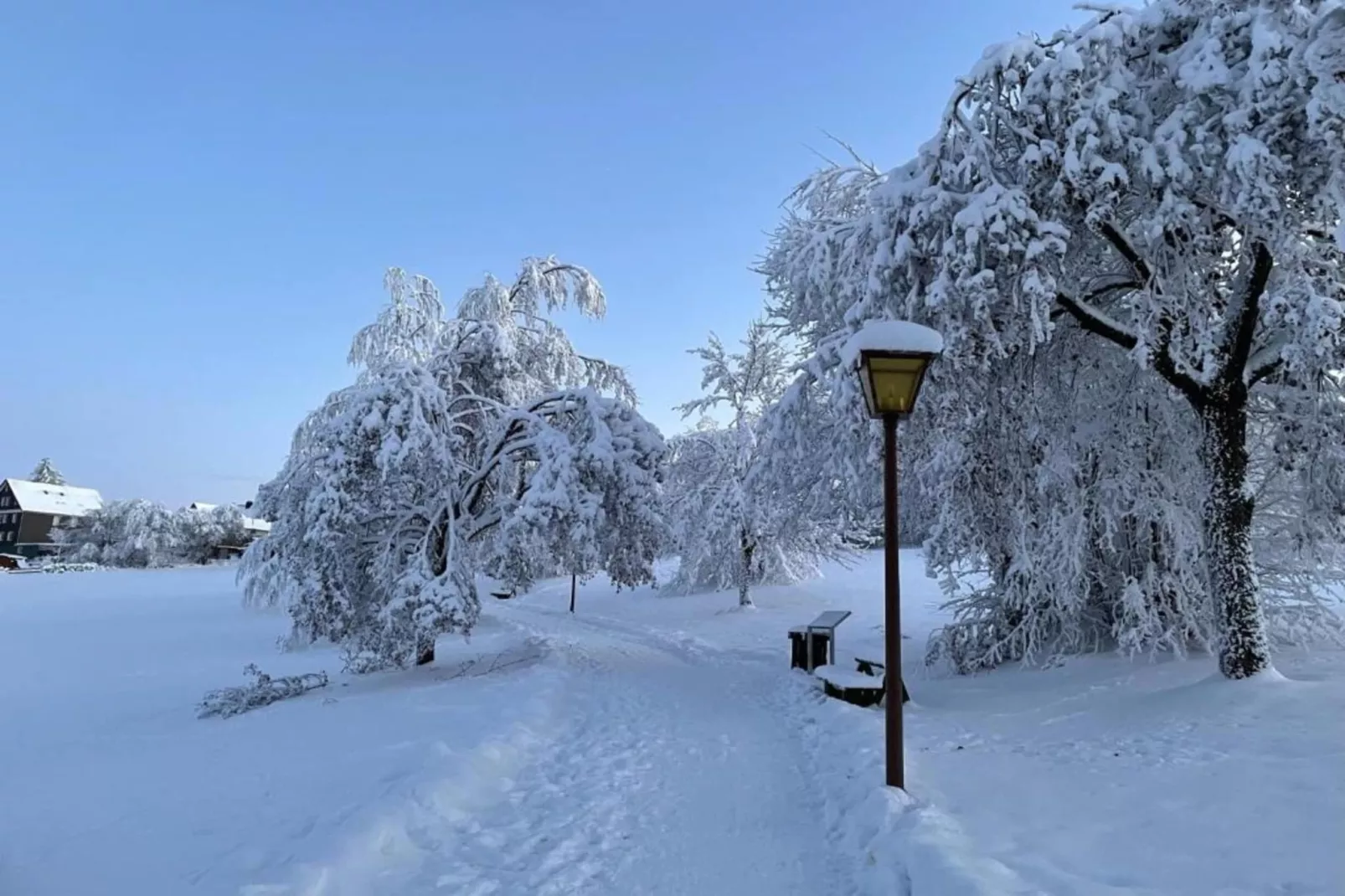 Waldferienhaus-Gebied winter 5km