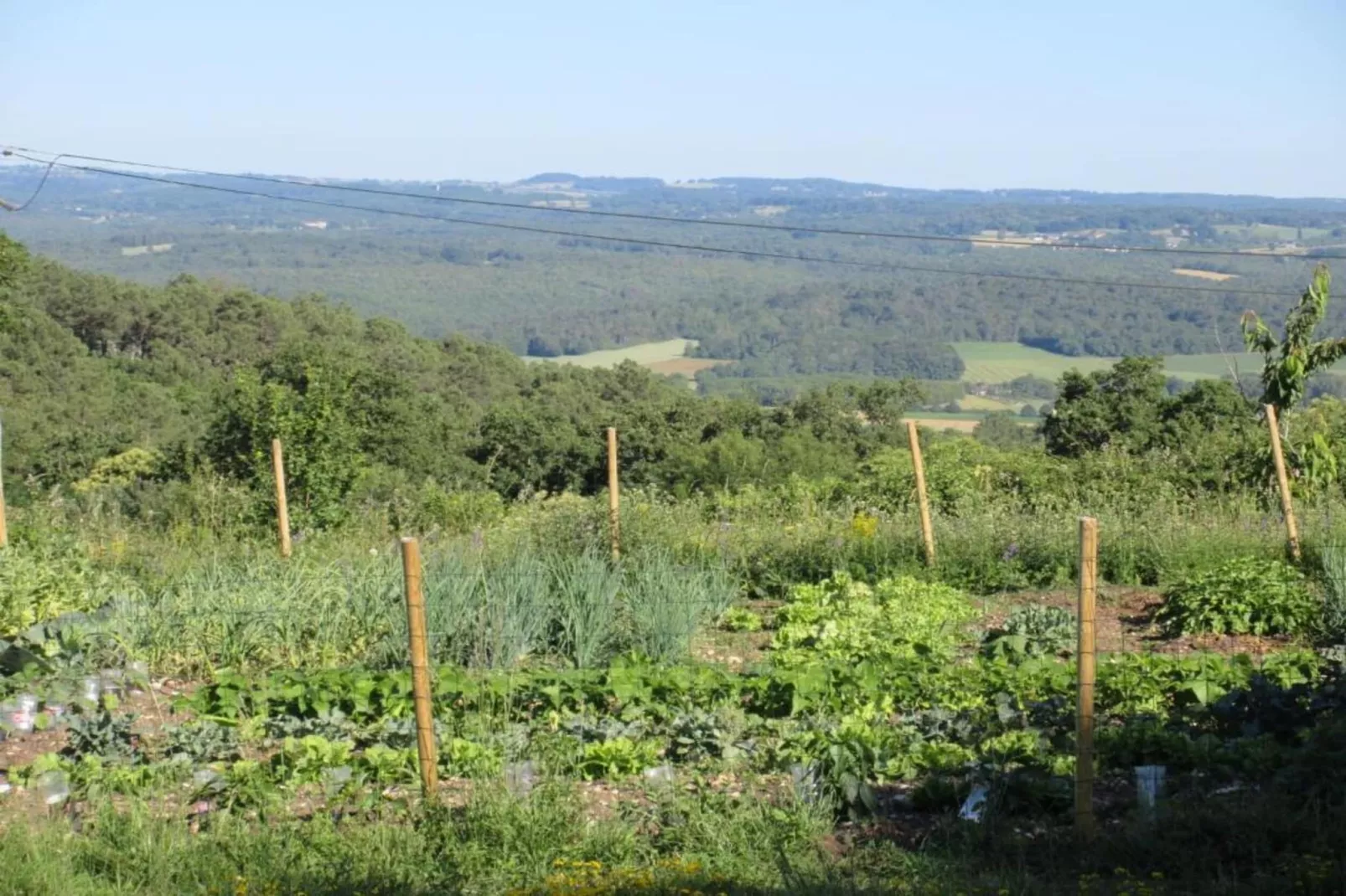 Maison Failte-Gebieden zomer 20km
